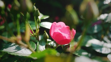 46D2BA01-9928-4340-AAF1-E38D0E84AC94/L0/001