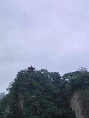 1000008046