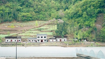 IMGP8150-1.jpg
