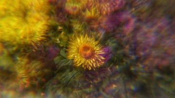 09C579C2-D412-4D65-BC49-DDFCAB90C542/L0/001