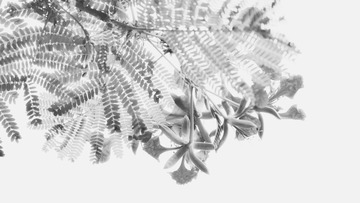 33C89C39-960A-49FD-9001-551E7D5A39E9/L0/001