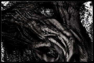 AC662F43-31F6-480D-82B5-D3BC18290142/L0/001