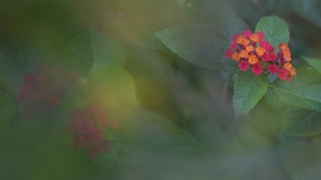 B3B9A475-264E-4998-9C22-8B4716208E96/L0/001