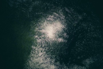 F6E0E7FB-1F00-4AF9-8A99-831E964F8377/L0/001