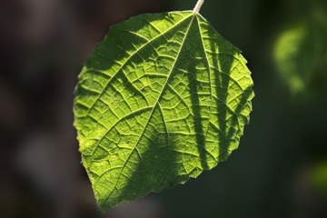 B17DAA77-62CE-4D9A-A834-7FB157547AE9/L0/001
