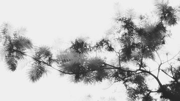 8E898F10-1C01-4846-8A42-A9AE97A797B7/L0/001