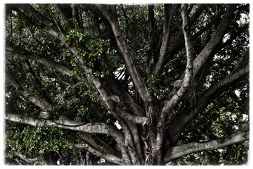B153A29C-18EA-4A38-BB4F-11608A086B6E/L0/001