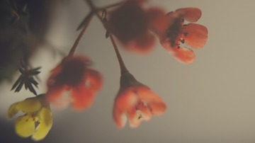 561B9965-555F-4C17-9F97-64DB645B7E32/L0/001