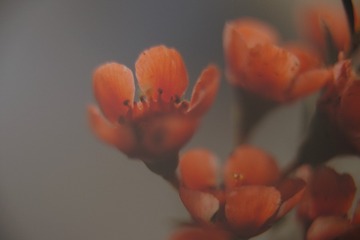 14B7E849-06F3-4688-AE28-CAC6FB2EFF80/L0/001