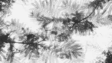 D8DE6829-B074-4C88-B425-022E11A14515/L0/001