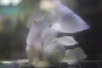 97C31F25-F649-4FAC-99A4-55080EFC62B1/L0/001