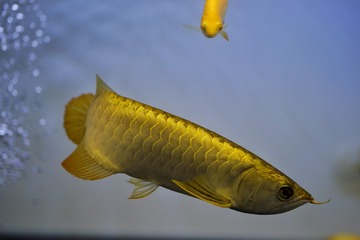 78E4E301-E3B4-44E7-9612-C1FA9AEAE47E/L0/001