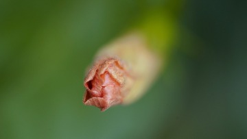 05529336-C933-4B97-BA69-FAB933D05C1F/L0/001