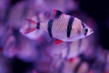 CF492F83-0733-4173-9538-E5C9C360B6B8/L0/001