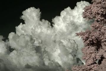 823DED0C-E06E-4A5D-9764-6A42A3B20714/L0/001