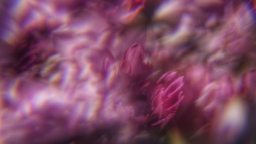 BD5DA7C7-4B0C-4CDF-AB43-7CDE868F4362/L0/001