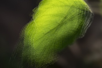 F0D77121-A81F-48E8-86F9-4FA11B09EC15/L0/001