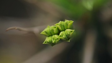 E2C0E874-F03B-4214-8E9B-D7E3758CC4A4/L0/001