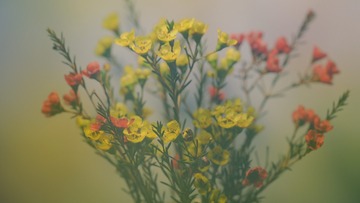 DA9435A8-214D-4CB8-A090-C1ED0E37DBF4/L0/001