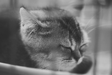 A68940DF-F8B2-4933-A3A4-E5E48C078900/L0/001