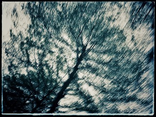 221DCB44-4271-4047-B30F-A5D0CB2DC3CF/L0/001