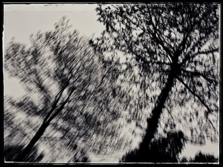 C0298486-DFF9-40C8-9CB6-E3BBC506961A/L0/001
