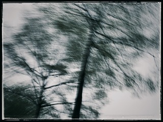 C239F13F-9718-45B9-9AC1-3D1B6FBDEBE1/L0/001