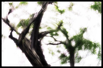 7A7CE619-F176-42C4-A0D0-62D4D4DFFCC8/L0/001