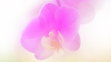 5A8C4659-6939-4AA1-864E-9AA4AD618FDE/L0/001