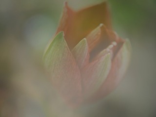 A0F041B4-3979-479F-B699-3A9CFBDCBE18/L0/001