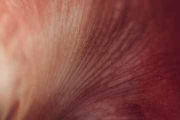 29886C33-B17B-4AC3-BCE5-0A9C69AD8D1D/L0/001