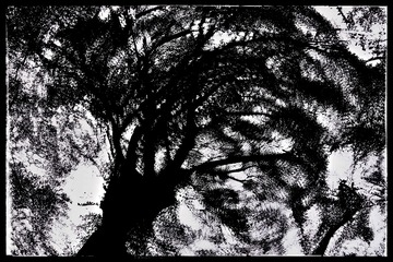 592C03BA-C963-45B5-9574-D45520F03C72/L0/001