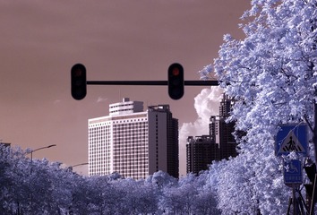 43188253-2C2D-462B-9E24-3D429F9013BB/L0/001