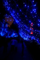 dsc03663_副本.jpg