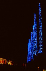 dsc03704_副本.jpg