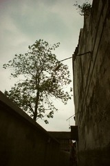 dsc04375_副本.jpg