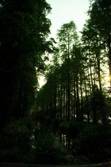 dsc04688_副本.jpg