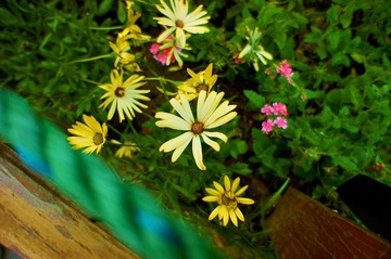 dsc04728_副本.jpg