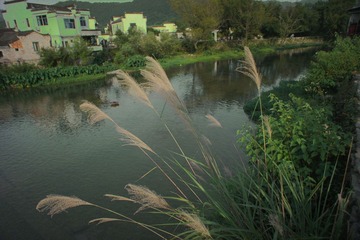 DSC05294.jpg