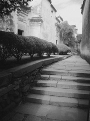 IMGP0078_副本.jpg