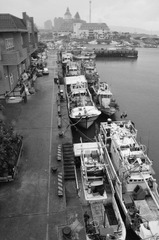 1449_01.JPG