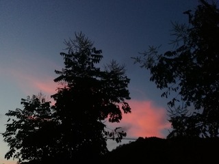 1317160