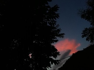 1317162