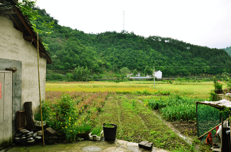 20130510杭州市淳安县瑶山乡幸福村