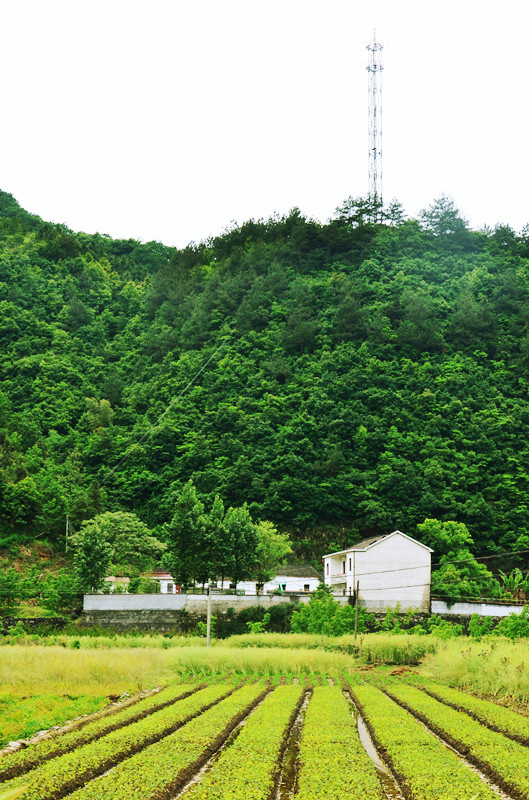 20130510杭州市淳安县瑶山乡幸福村