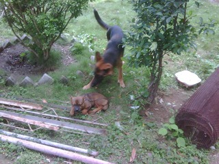 IMG00025-20101013-1204