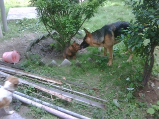 IMG00027-20101013-1204