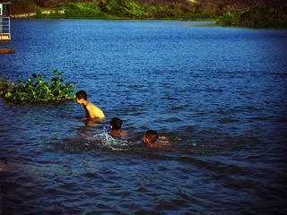 swimming
