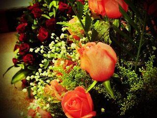 rose2