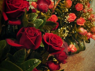 rose